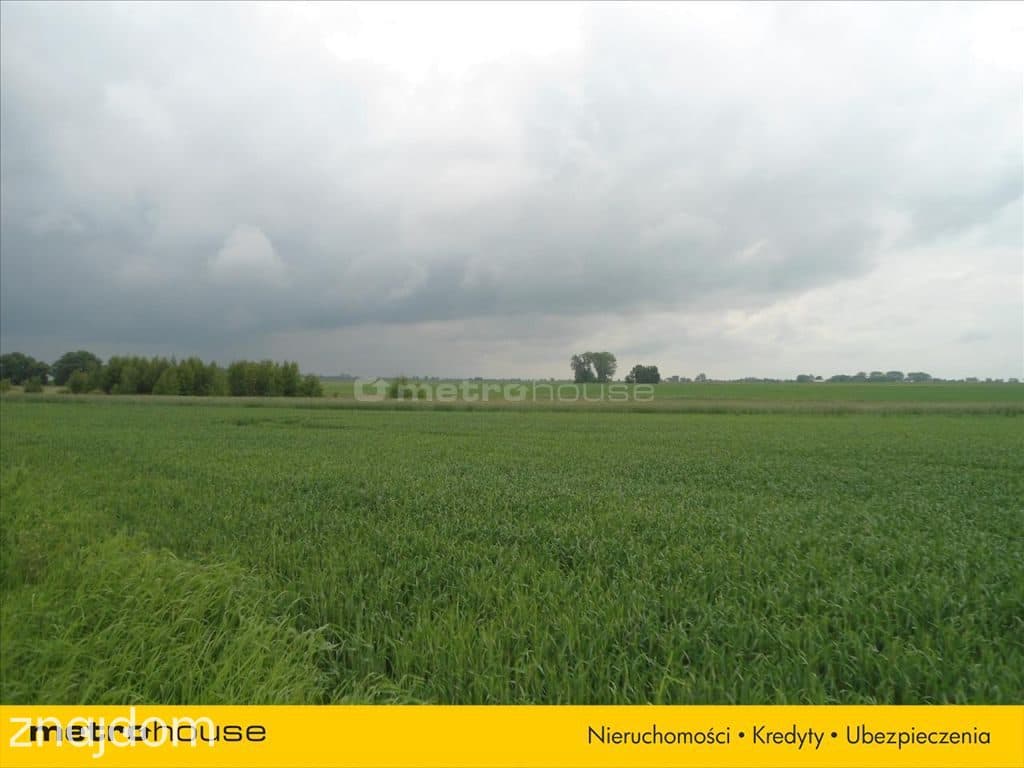 TEREN POD ZABUDOWĘ LETNISKOWO -USŁUGOWĄ /PSZCZEW, - zdjęcie 2