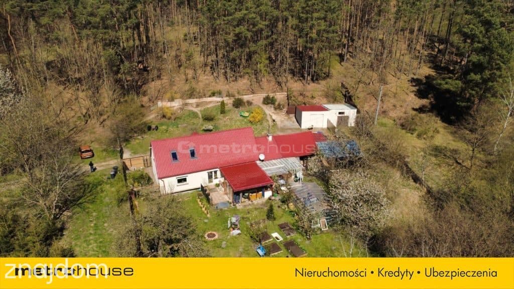 Dom w lesie blisko jeziora w Parku Krajobrazowym - zdjęcie 33
