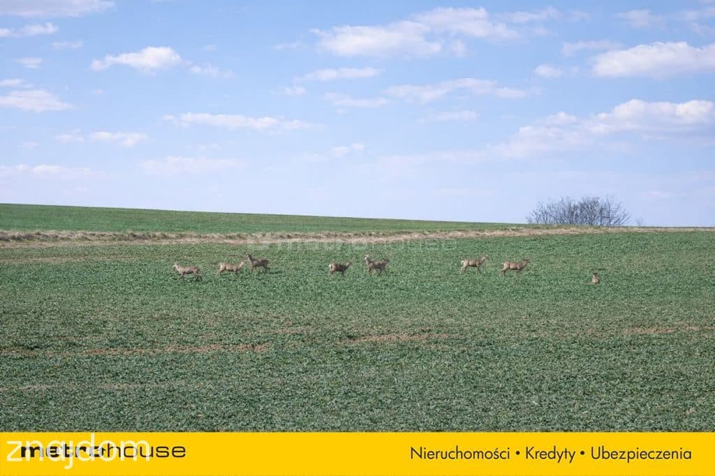 Bezczynszowe mieszkanie 55m2 w Granowie - zdjęcie 9