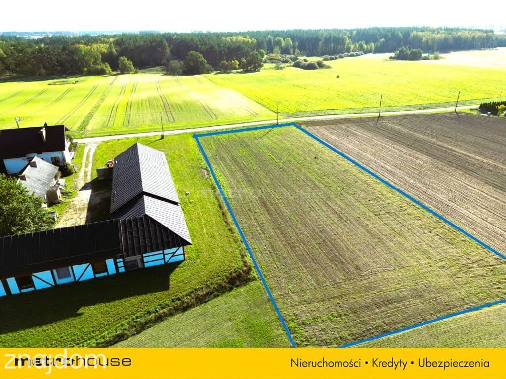Duża działka budowlana przy lesie na Kaszubach. - zdjęcie 3