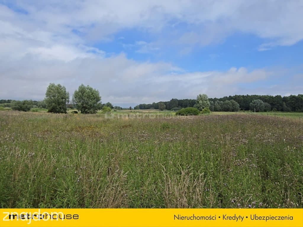 1,59 ha nad Nogatem  Twoje miejsce na Żuławach - zdjęcie 8