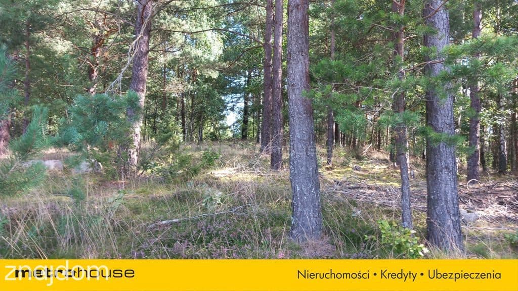 Ponad 5 ha własnego świata. Cisza bez granic. - zdjęcie 5