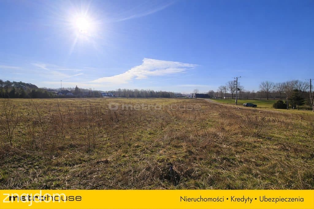Działka usługowa 10 000 m² w Nieżywięciu  okazja! - zdjęcie 4
