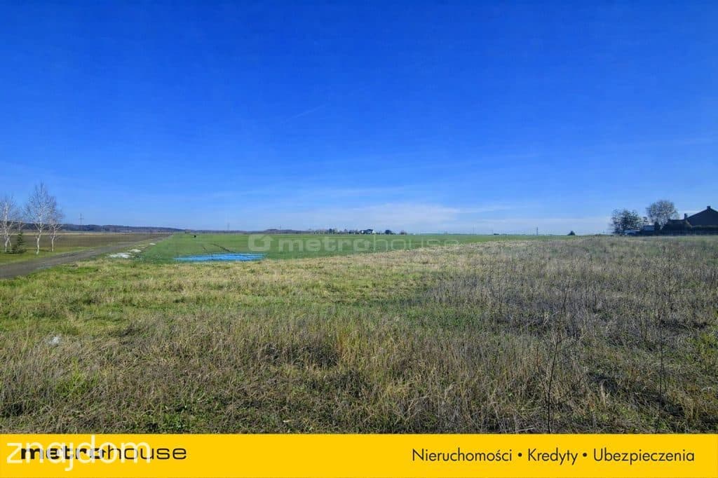 Działka usługowa 10 000 m² w Nieżywięciu  okazja! - zdjęcie 5