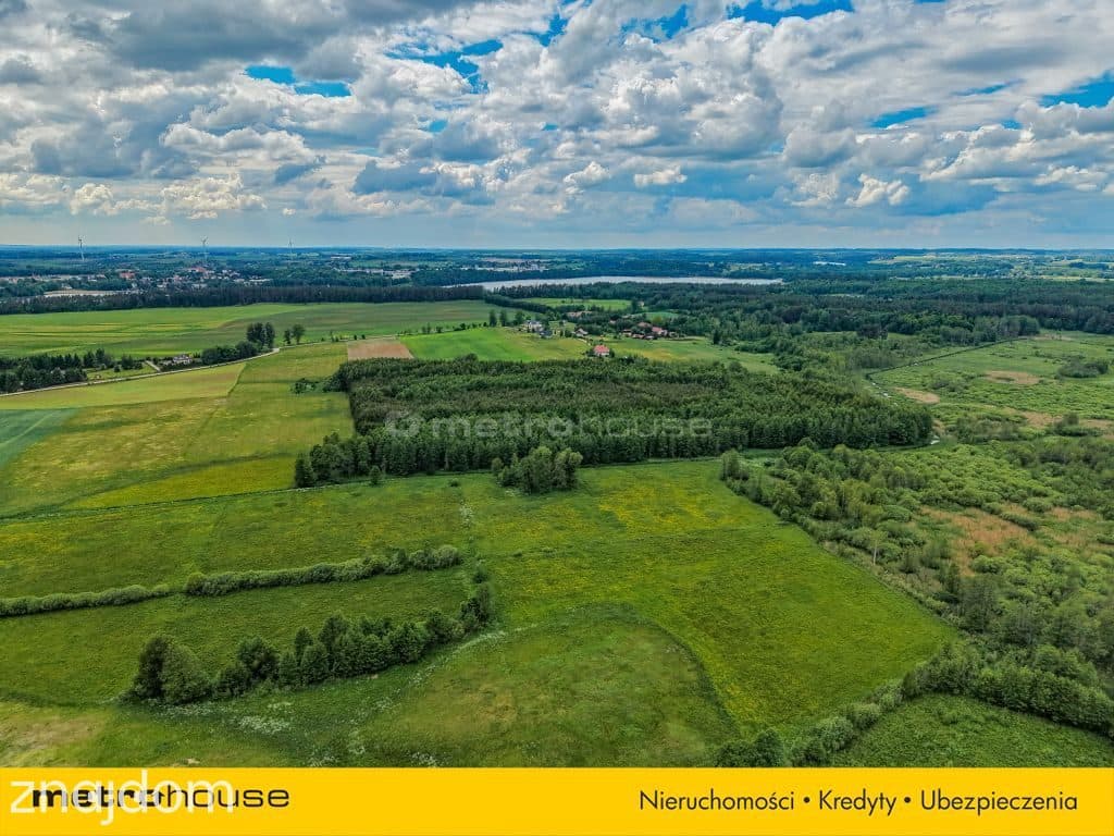 Las inwestycyjny 9,5 ha 770 m³ drewna - zdjęcie 11