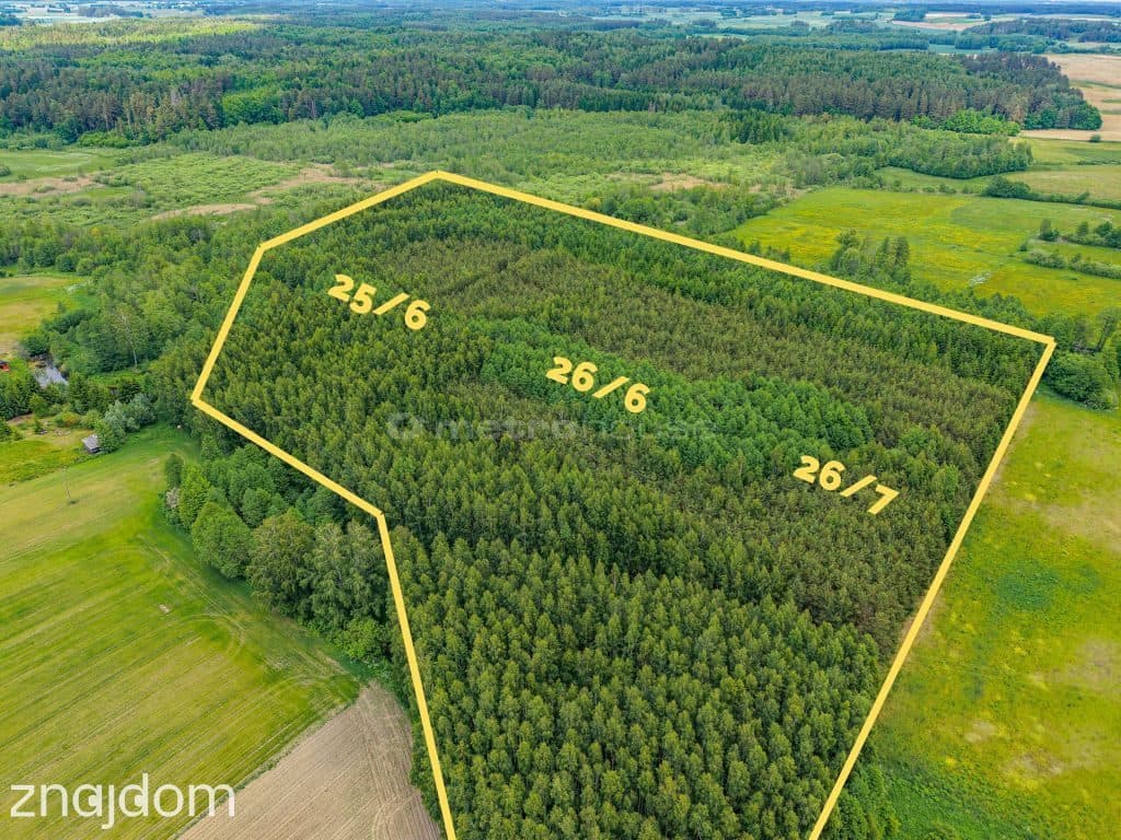 Las inwestycyjny 9,5 ha 770 m³ drewna - zdjęcie 4