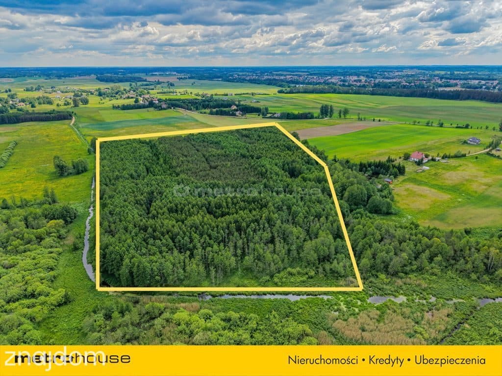 Las inwestycyjny 9,5 ha 770 m³ drewna - zdjęcie 5