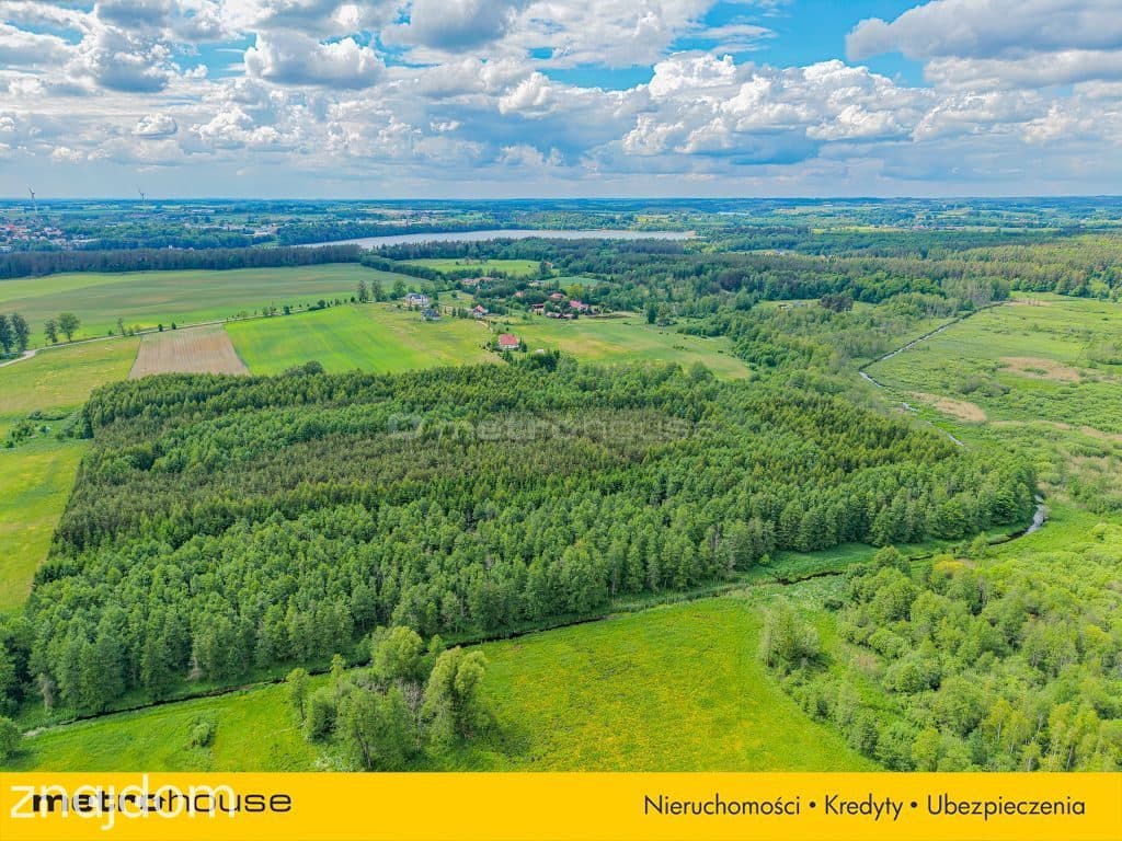 Las inwestycyjny 9,5 ha 770 m³ drewna - zdjęcie 7