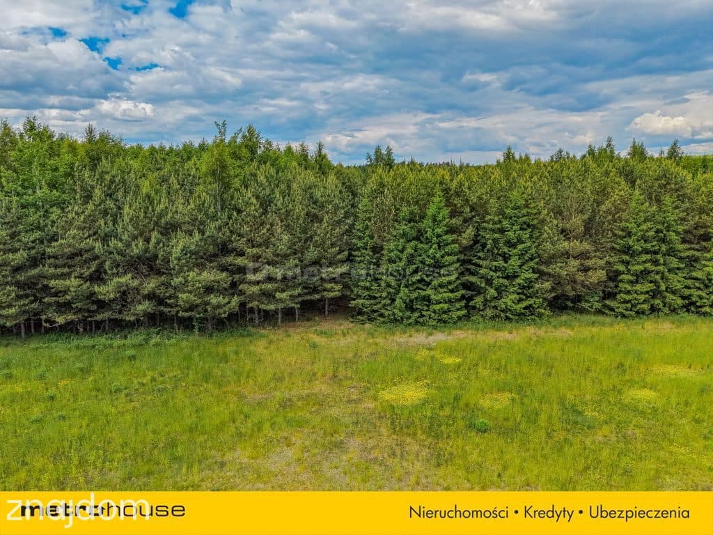 Las inwestycyjny 9,5 ha 770 m³ drewna - zdjęcie 8