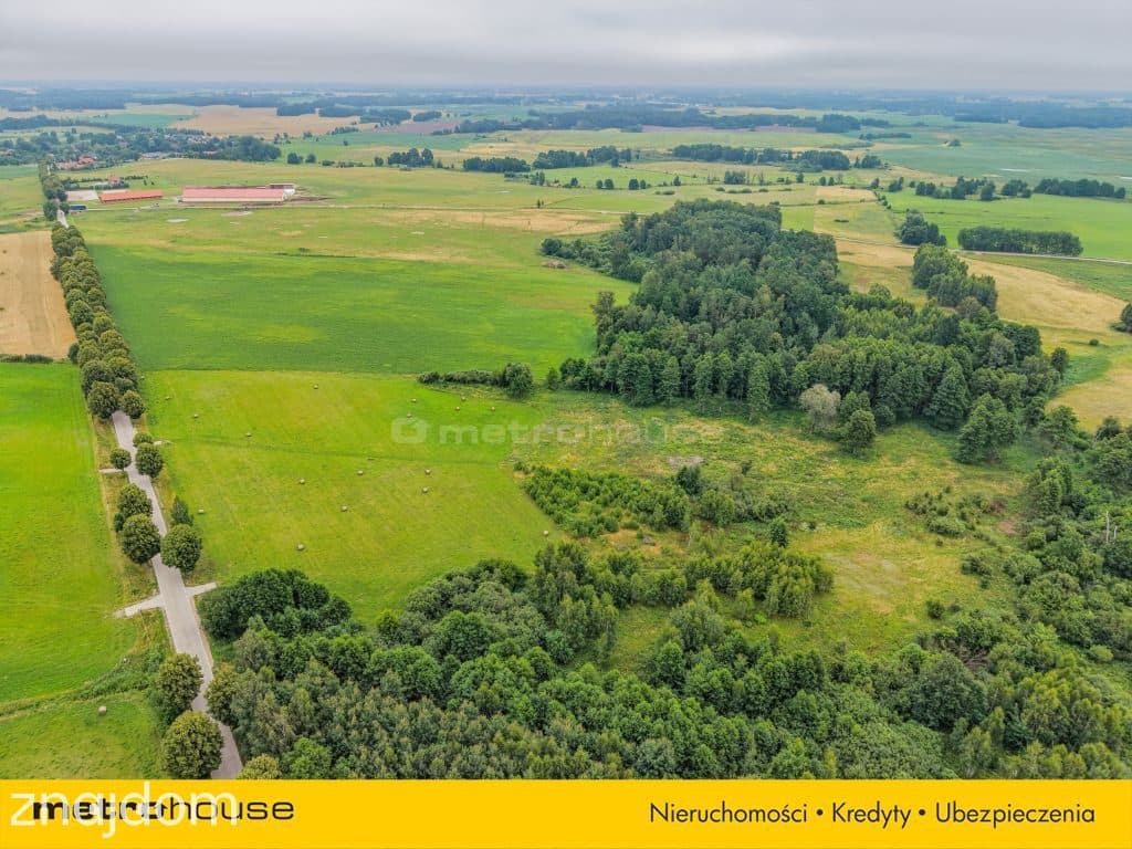 2,47 ha z WZ na 5 domów obok Ełku - zdjęcie 2