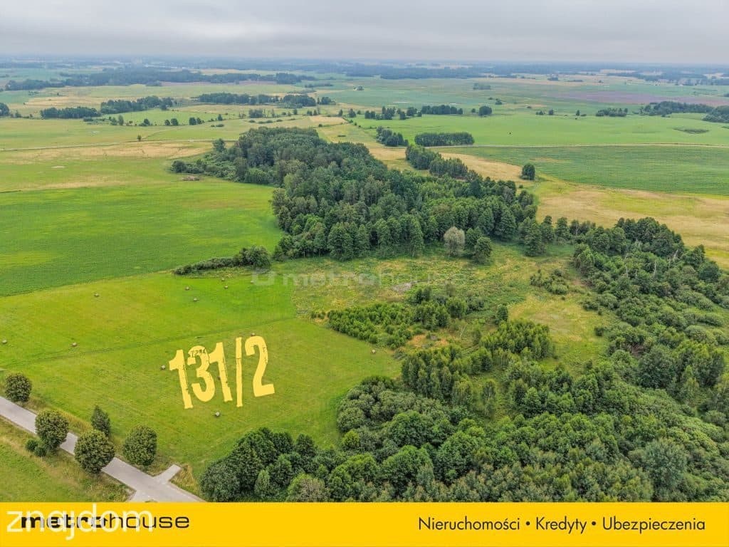 2,47 ha z WZ na 5 domów obok Ełku - zdjęcie 3