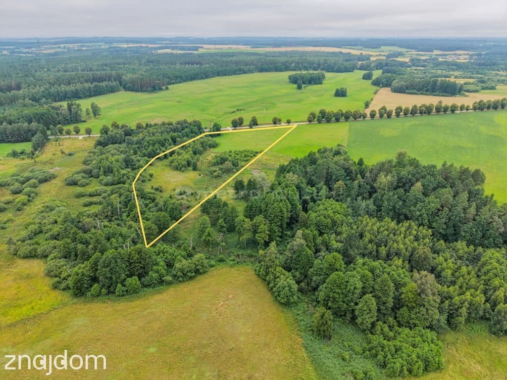 2,47 ha z WZ na 5 domów obok Ełku - zdjęcie 6