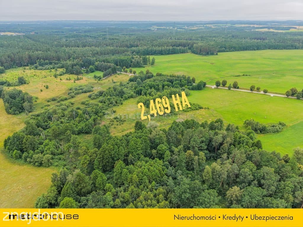 2,47 ha z WZ na 5 domów obok Ełku - zdjęcie 7