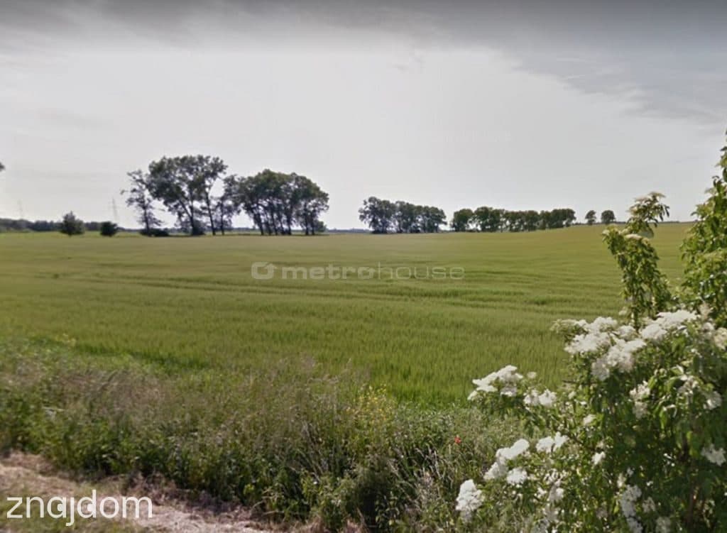 DZIAŁKA BUDOWLANA Z MPZP, BORKOWICE - zdjęcie 6