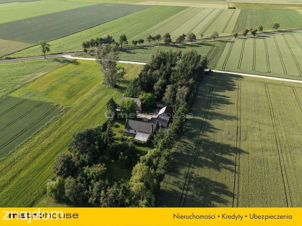 Siedlisko z pełną prywatnością wśród natury - zdjęcie 41