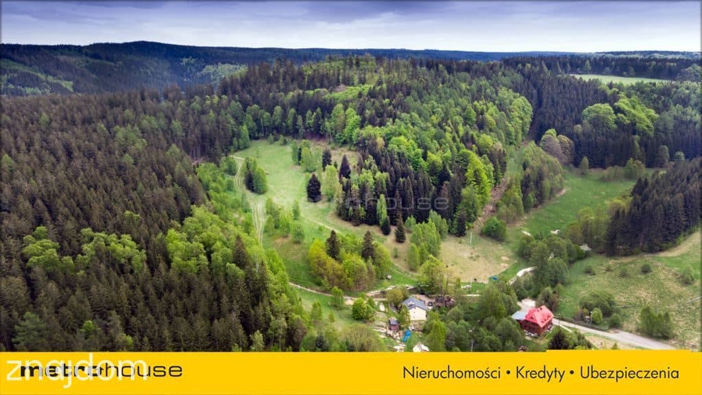 DZIAŁKA DUSZNIKI PODGÓRZE - 2000 m2 NA SPRZEDAŻ - zdjęcie 3