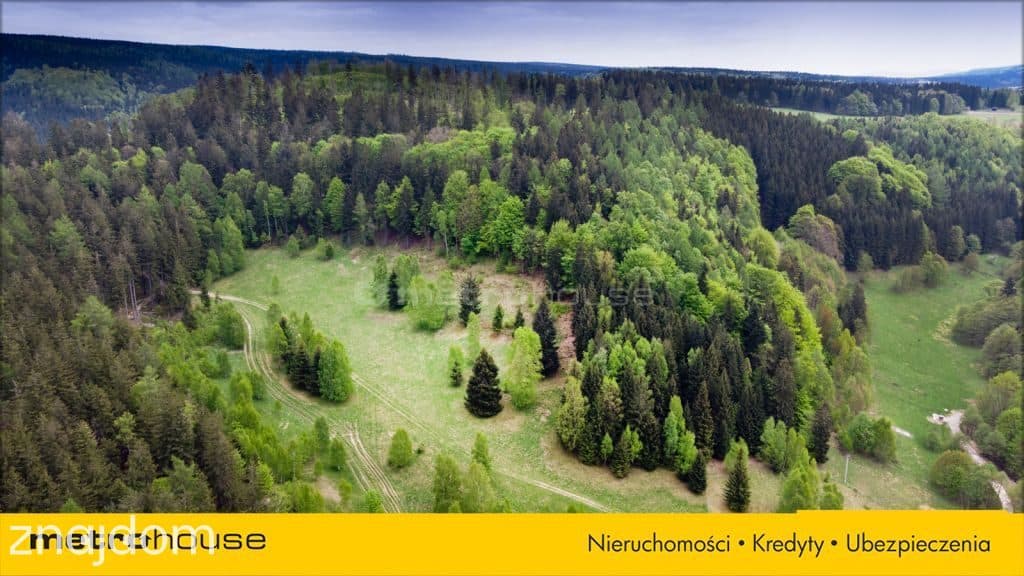 DZIAŁKA DUSZNIKI PODGÓRZE - 2000 m2 NA SPRZEDAŻ - zdjęcie 4