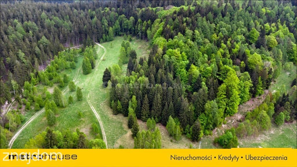 DZIAŁKA DUSZNIKI PODGÓRZE - 2000 m2 NA SPRZEDAŻ - zdjęcie 5