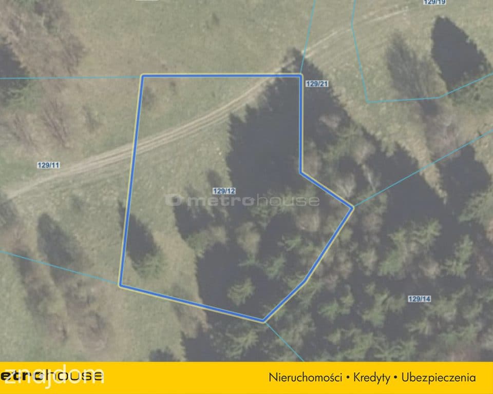 DZIAŁKA DUSZNIKI PODGÓRZE - 2000 m2 NA SPRZEDAŻ - zdjęcie 6