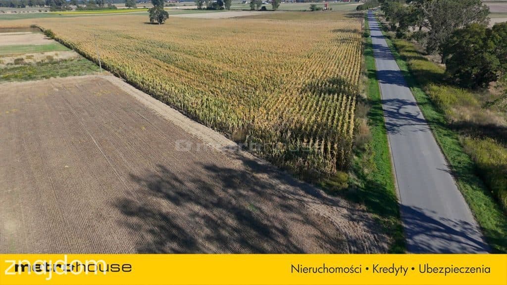 Działka 1,0198 ha z warunkami zabudowy Dobra - zdjęcie 2