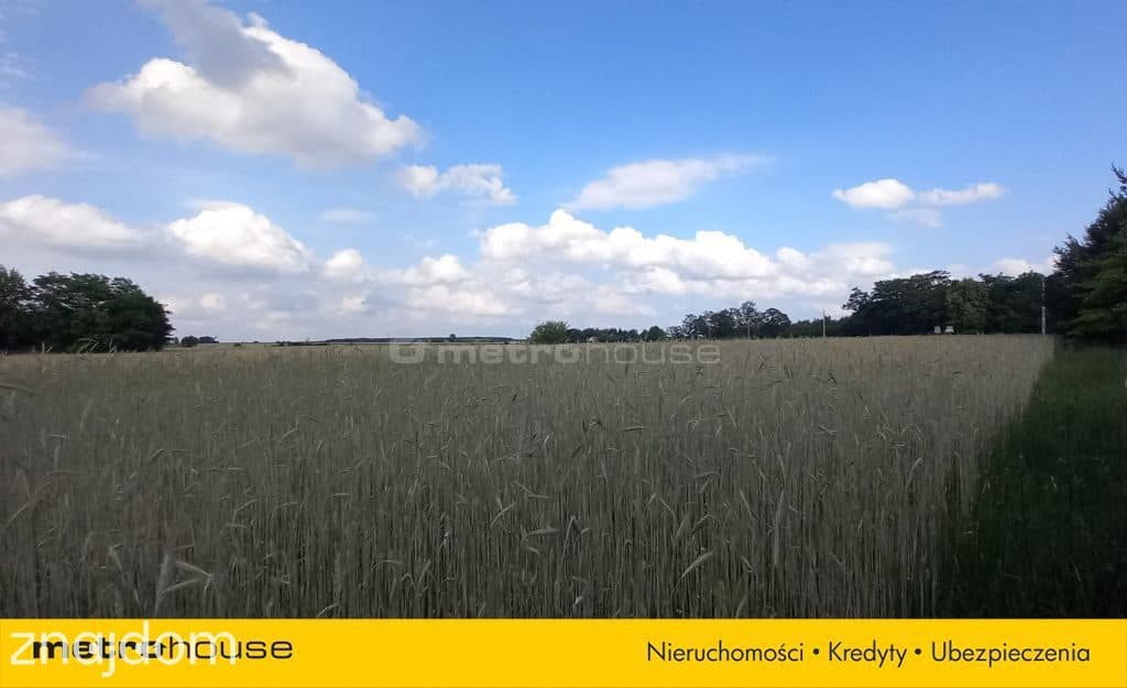 Działka budowlana 2141 m2w Lichawa-Parcela - zdjęcie 3