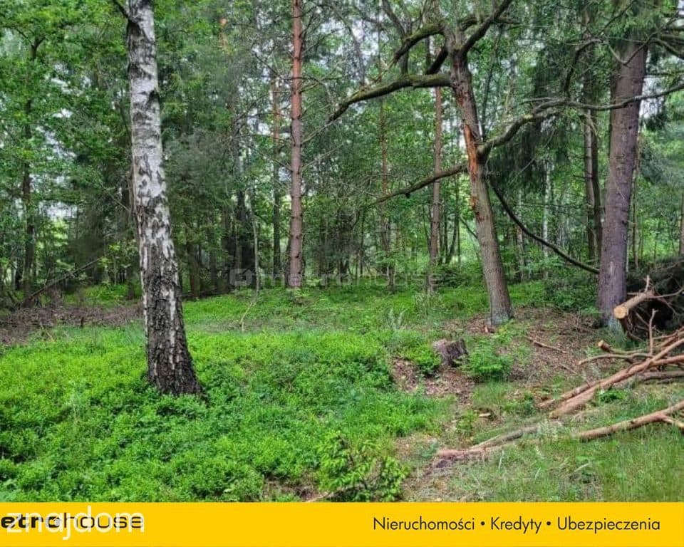 DZIAŁKI PONAD 2 HA NA 1 KW - OSJAKÓW NA SPRZEDAŻ - zdjęcie 2