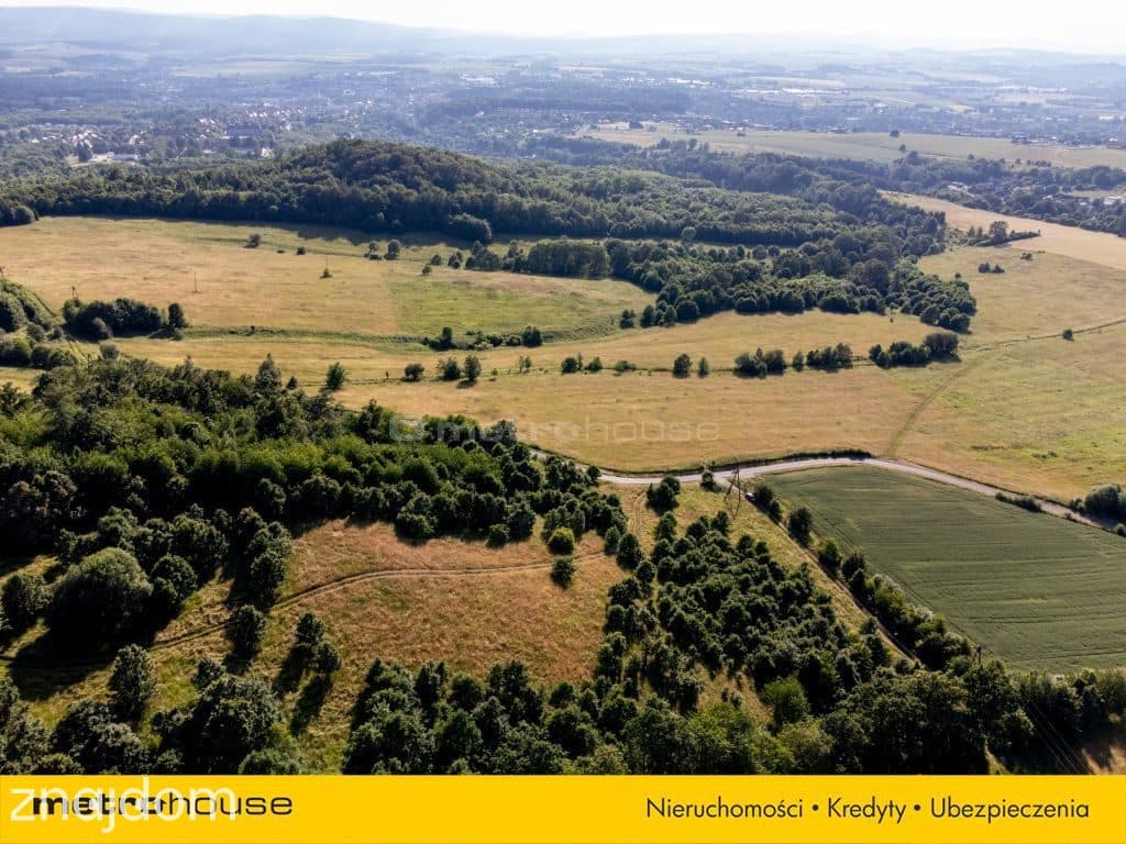 11 HA DZIAŁKA POD INWESTYCJĘ W WOJCIECHOWICACH - zdjęcie 2