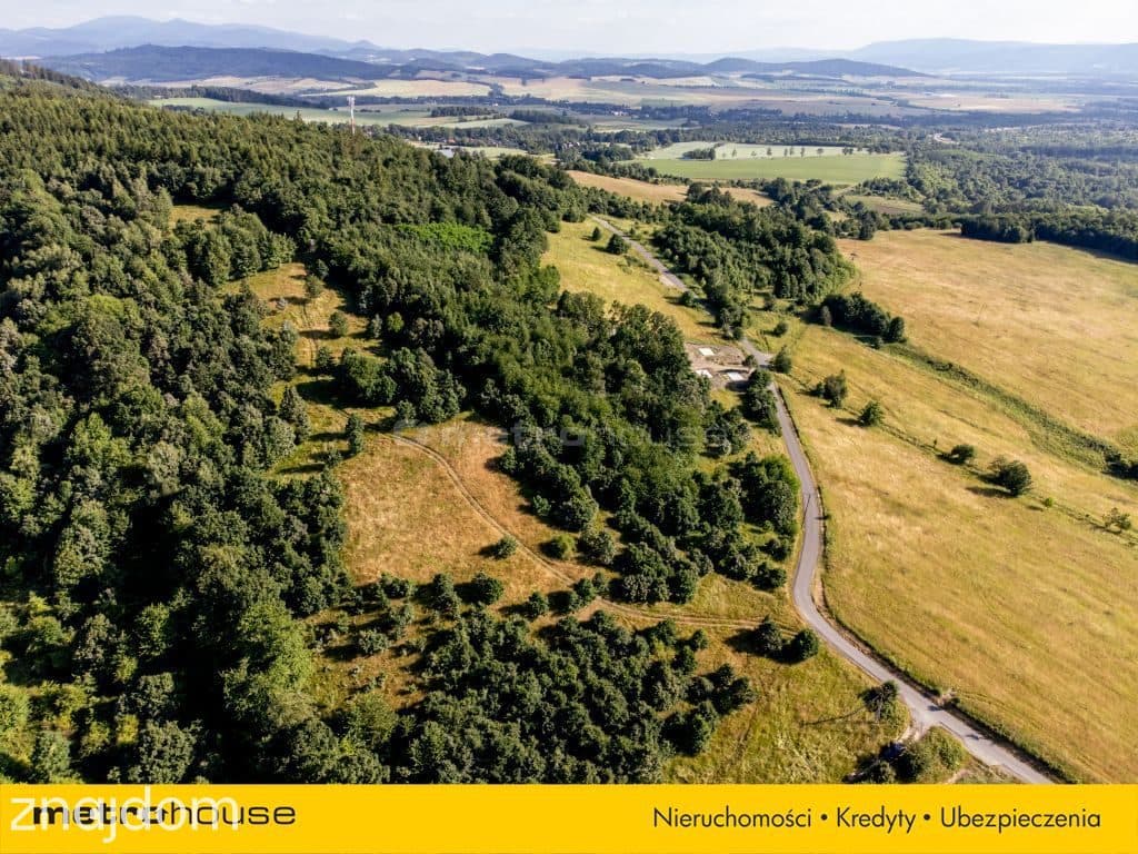 11 HA DZIAŁKA POD INWESTYCJĘ W WOJCIECHOWICACH - zdjęcie 3