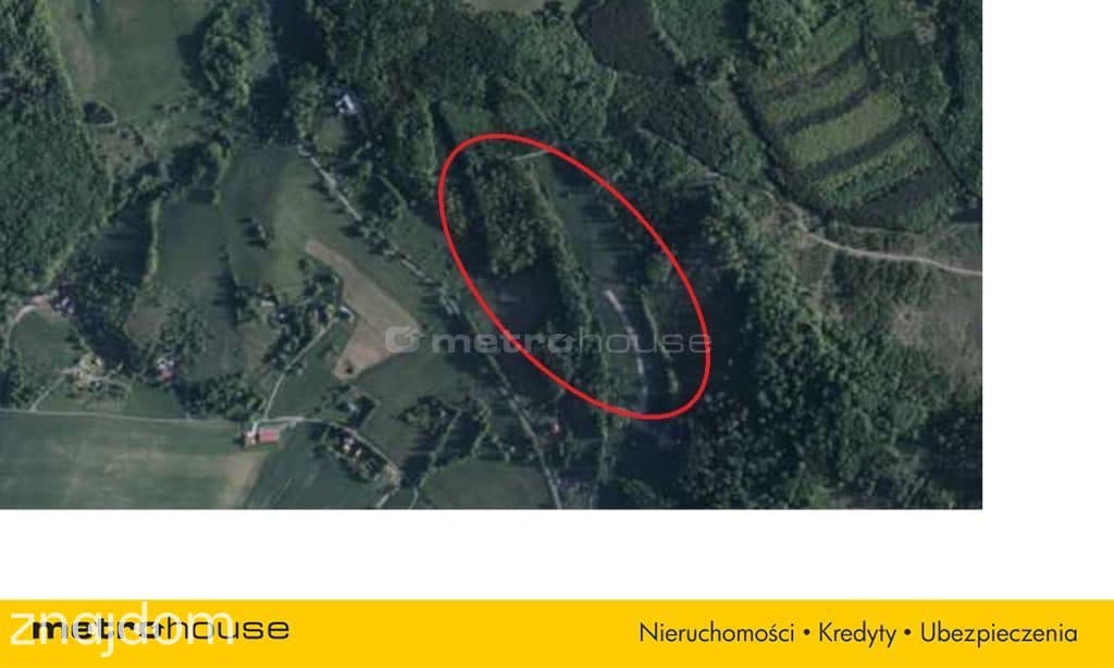 11 HA DZIAŁKA POD INWESTYCJĘ W WOJCIECHOWICACH - zdjęcie 8