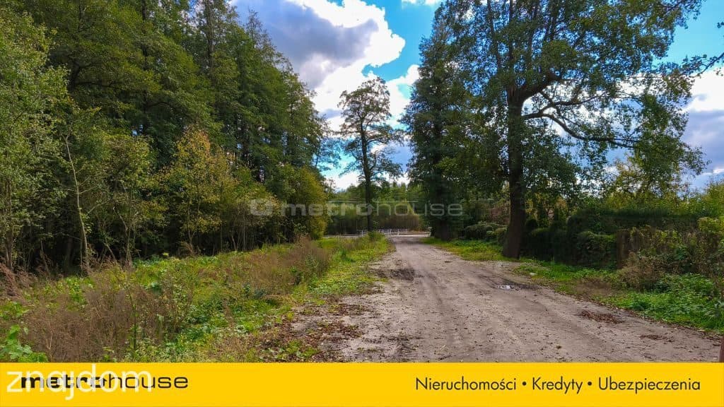 Teren inwestycyjny - produkcja, logistyka, składy - zdjęcie 2
