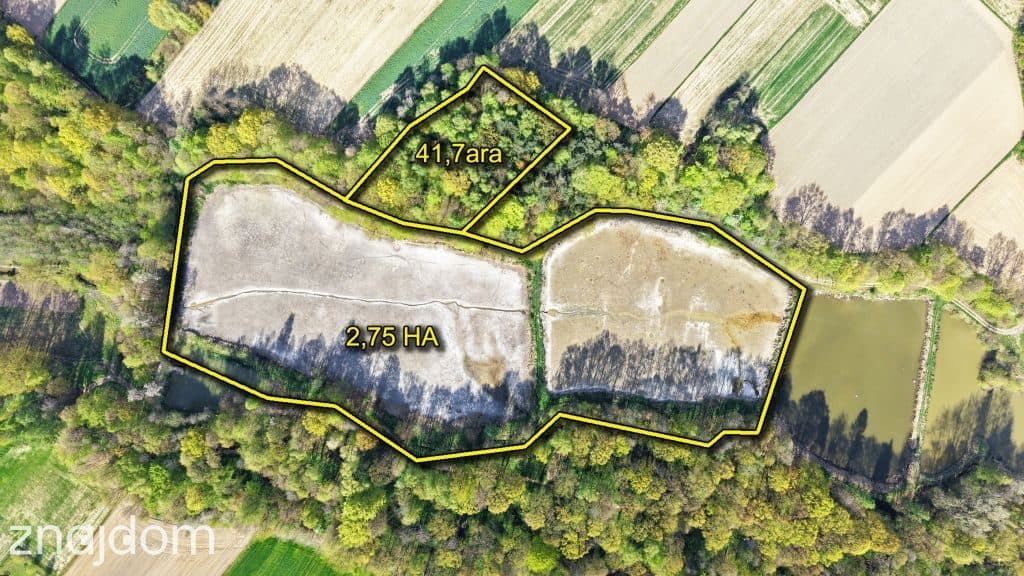 Niepowtarzalna okazja! 2 stawy rybne i las 3,15ha - zdjęcie 2