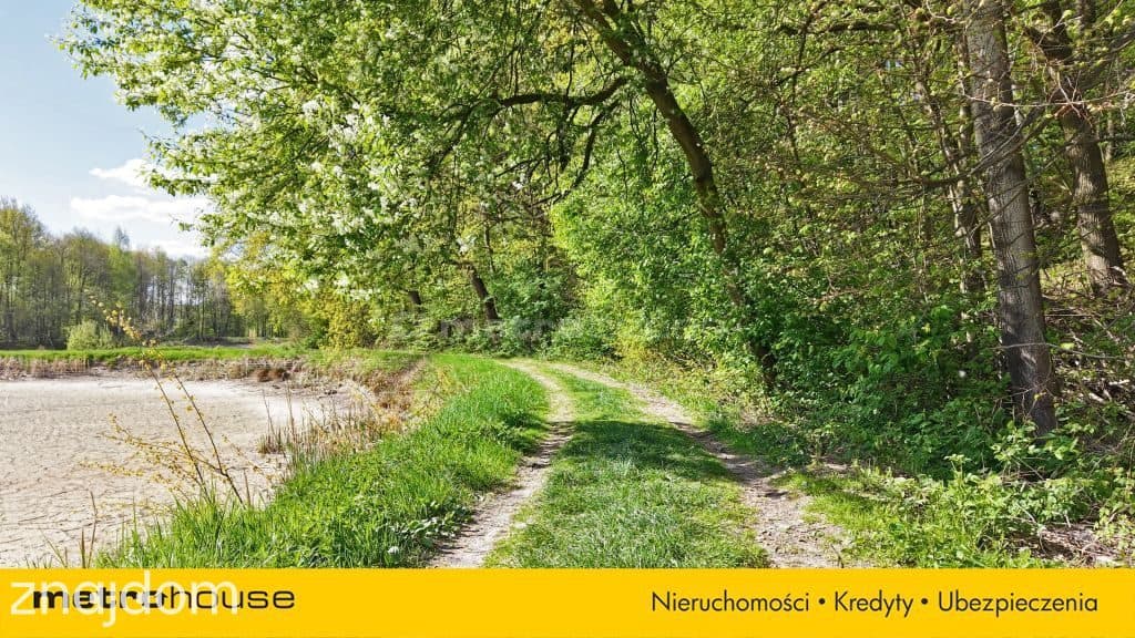 Niepowtarzalna okazja! 2 stawy rybne i las 3,15ha - zdjęcie 3