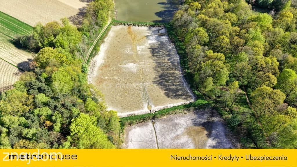 Niepowtarzalna okazja! 2 stawy rybne i las 3,15ha - zdjęcie 4