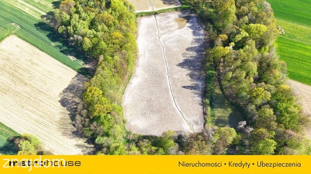 Niepowtarzalna okazja! 2 stawy rybne i las 3,15ha - zdjęcie 5