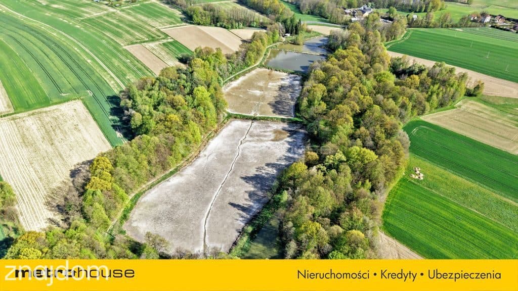 Niepowtarzalna okazja! 2 stawy rybne i las 3,15ha - zdjęcie 6