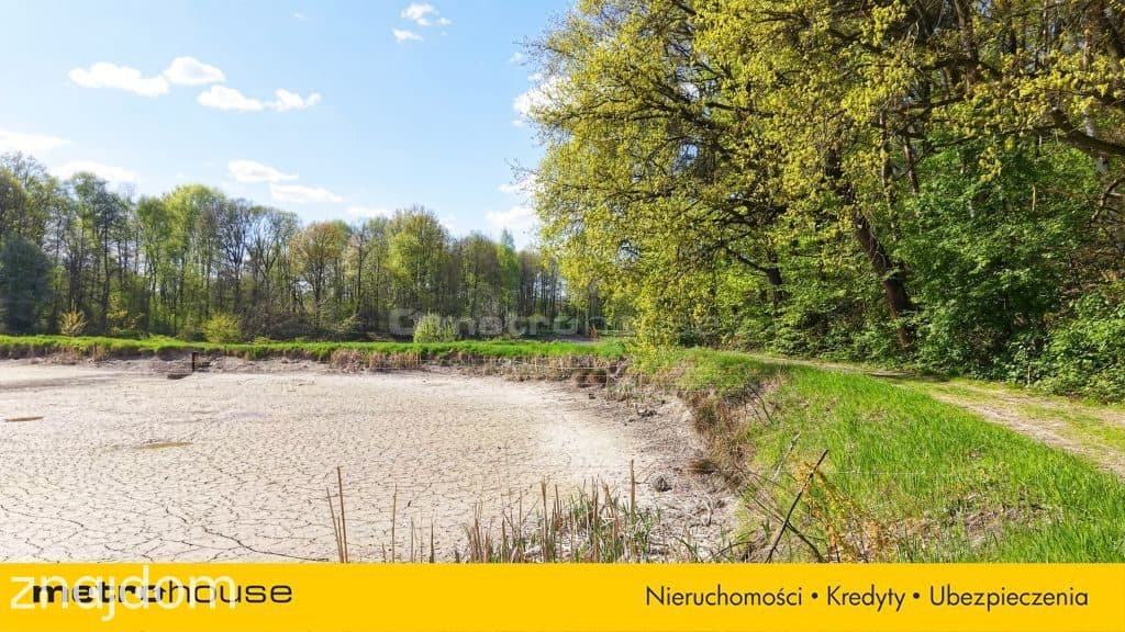 Niepowtarzalna okazja! 2 stawy rybne i las 3,15ha - zdjęcie 7