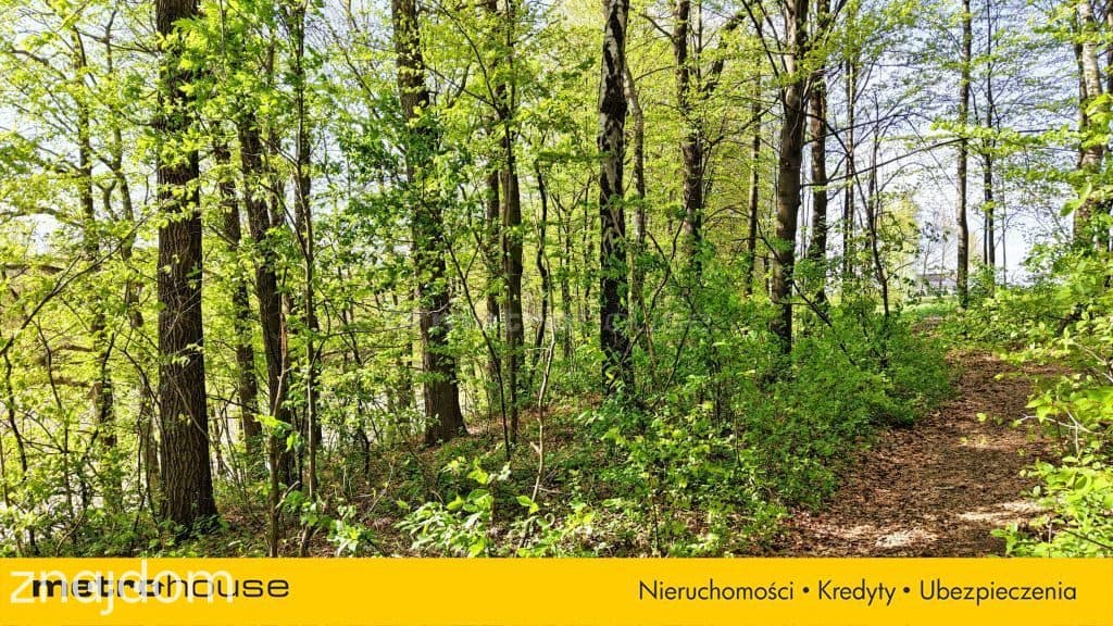Niepowtarzalna okazja! 2 stawy rybne i las 3,15ha - zdjęcie 8