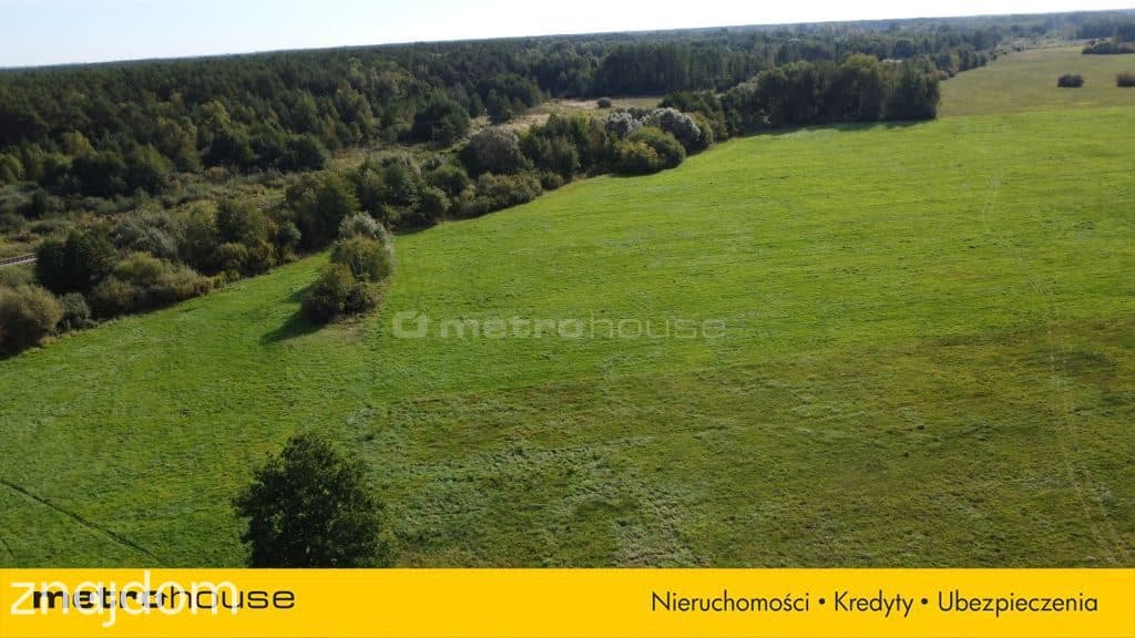 3000m2 działka rolna wystąpiono o WZ gm Poświętne - zdjęcie 3