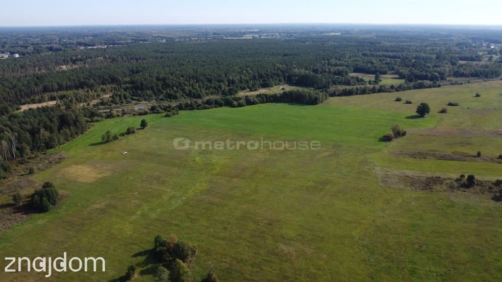 3000m2 działka rolna wystąpiono o WZ gm Poświętne - zdjęcie 4