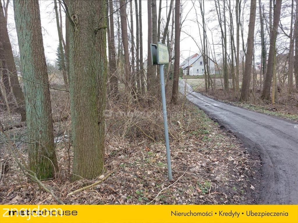 Kawałek lasu tylko dla siebie - zdjęcie 2