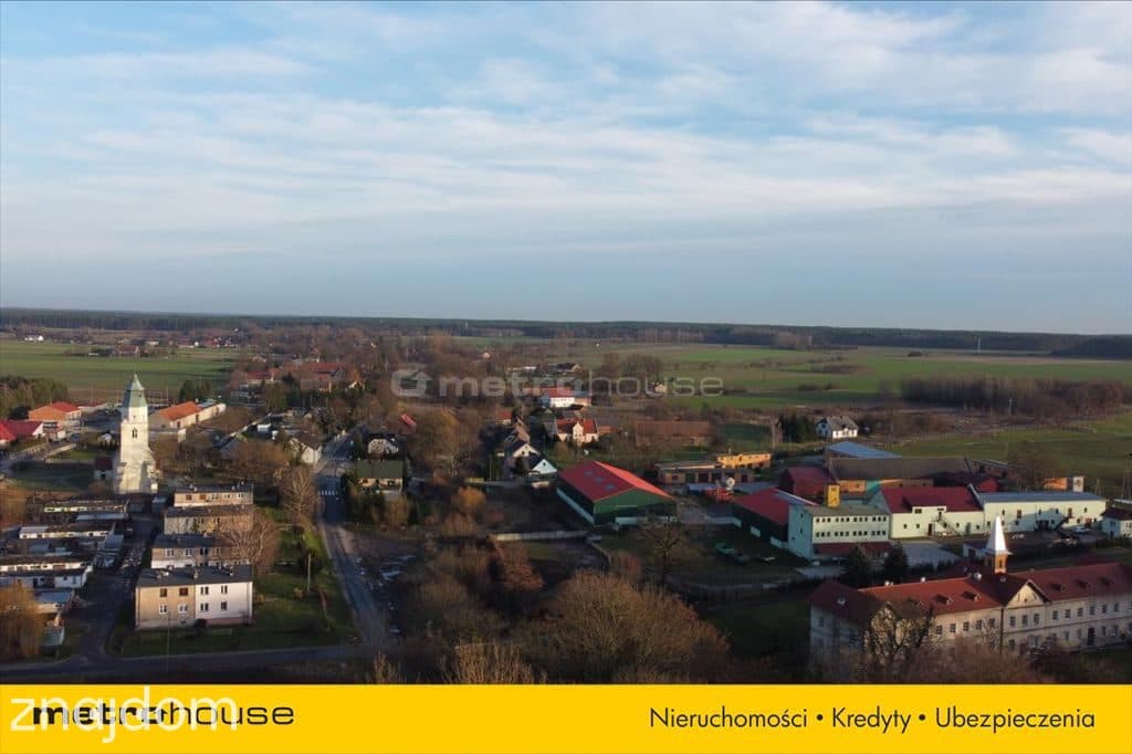 Kawałek lasu tylko dla siebie - zdjęcie 7