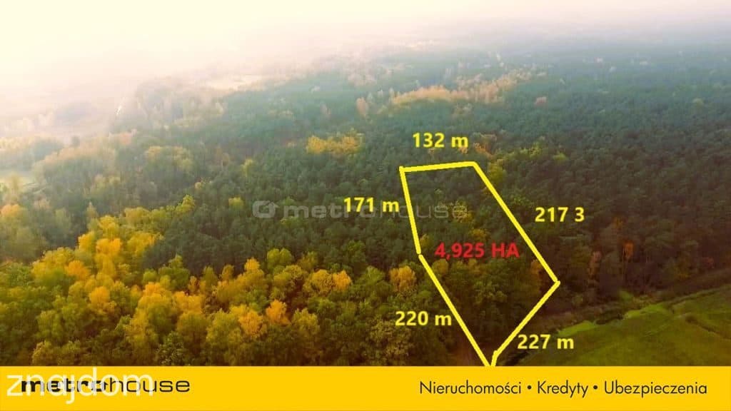 Dużą działka z potencjałem inwestycyjnym! - zdjęcie 3