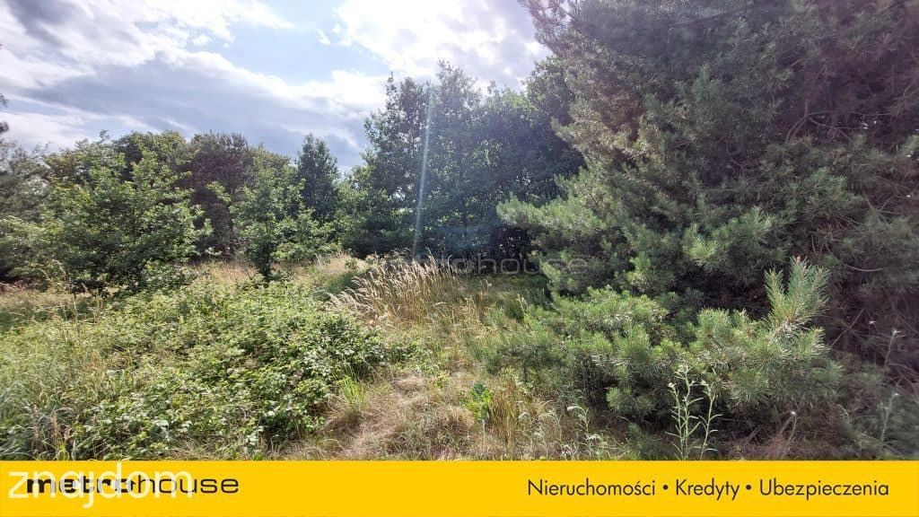 Działka pod zabudowę w Maszewie 2400 m2 - zdjęcie 7