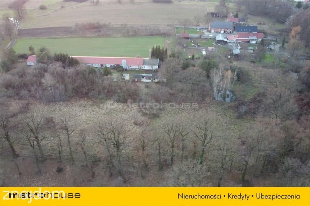 Działka blisko Pałacu - Dzietrzychowice k/Żagania - zdjęcie 10