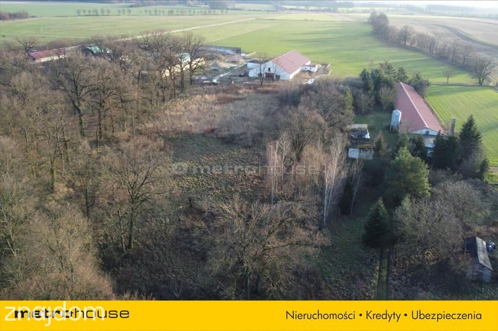 Działka blisko Pałacu - Dzietrzychowice k/Żagania - zdjęcie 11