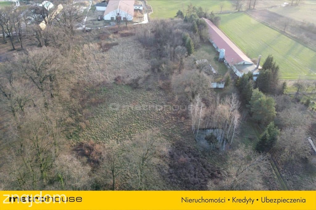 Działka blisko Pałacu - Dzietrzychowice k/Żagania - zdjęcie 12