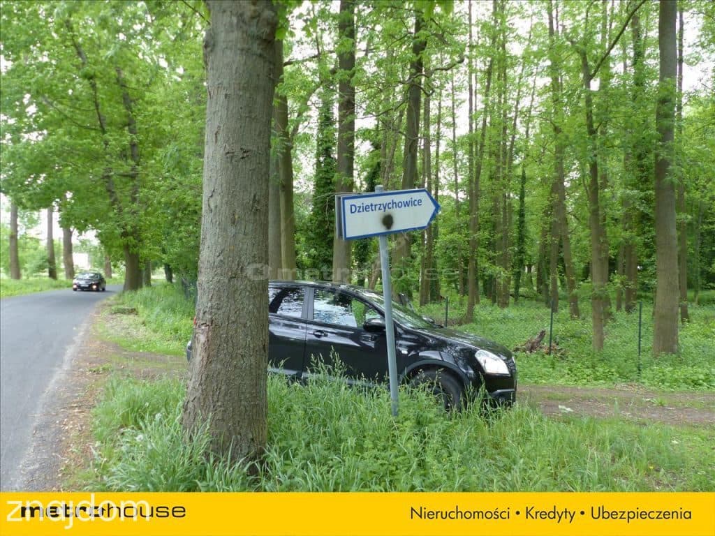 Działka blisko Pałacu - Dzietrzychowice k/Żagania - zdjęcie 6