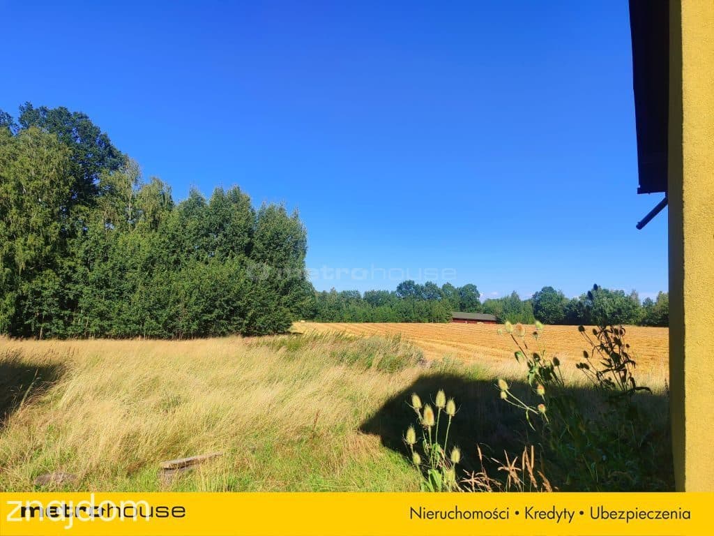 3,63 ha - Dom 264 m² + stodoła, Woźniki - zdjęcie 23