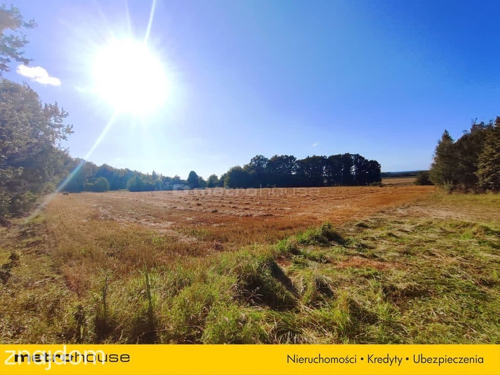 3,63 ha - Dom 264 m² + stodoła, Woźniki - zdjęcie 27