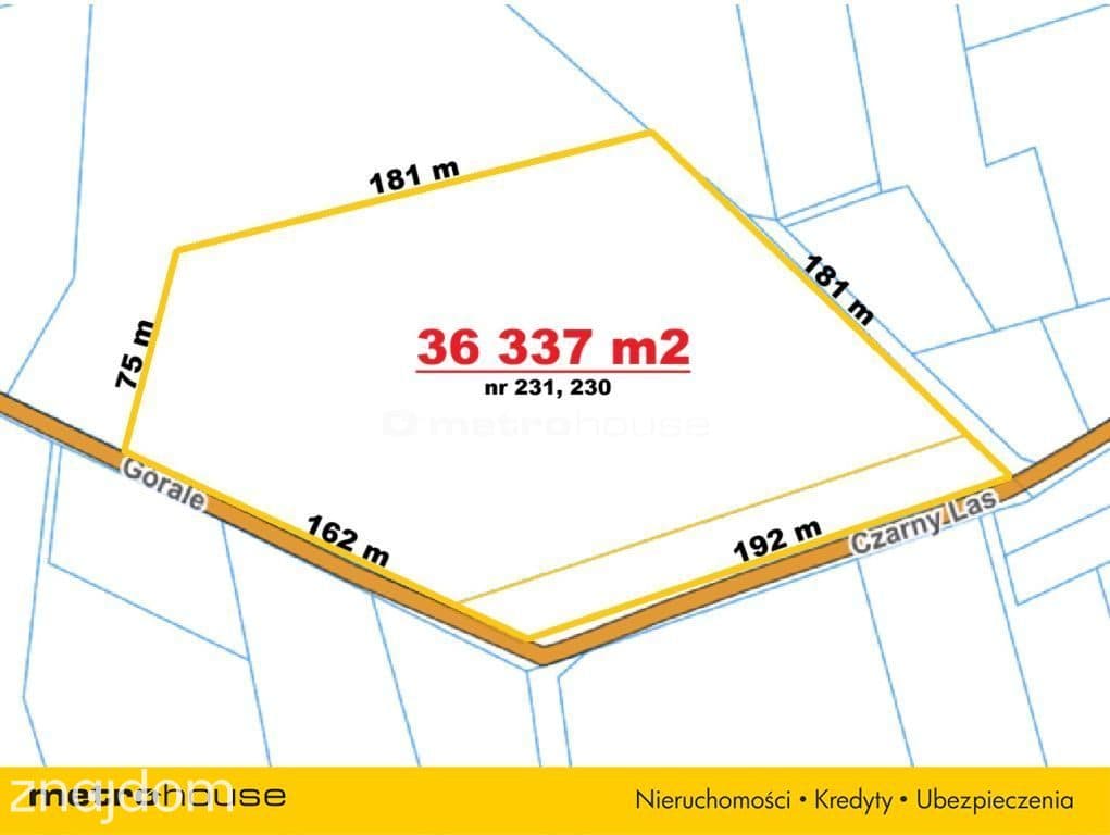 3,63 ha - Dom 264 m² + stodoła, Woźniki - zdjęcie 6